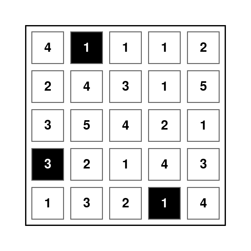 Hitori Puzzle